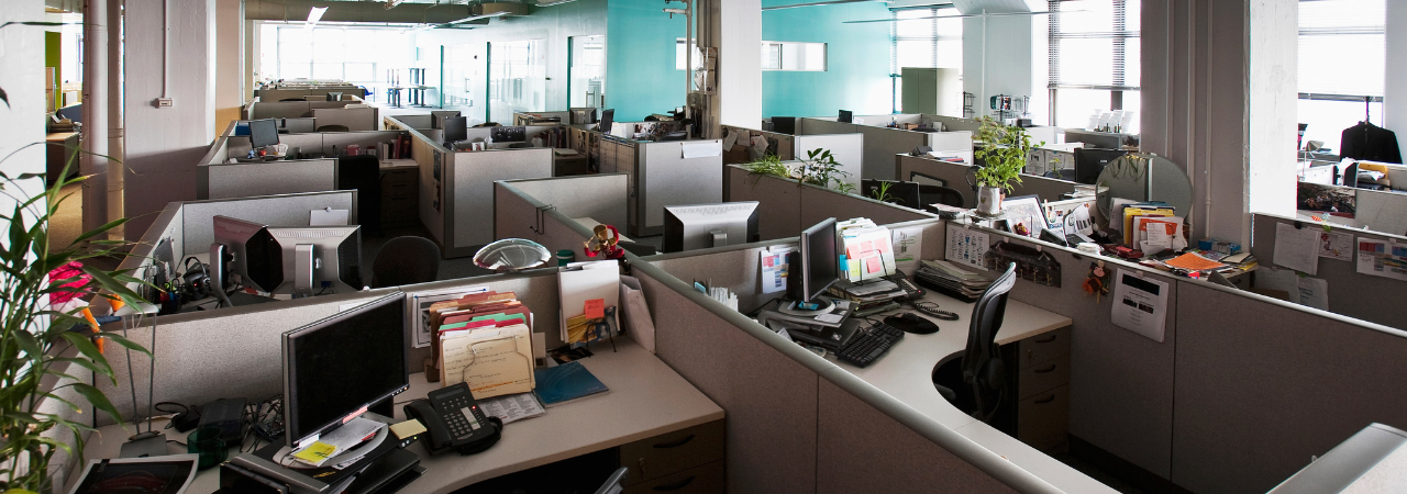 empty modern office cubicles in daylight